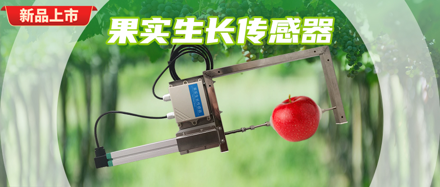 果实/茎干生长传感器：新品上市 测量可靠